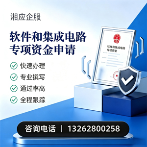 益阳软件和集成电路专项资金申报服务