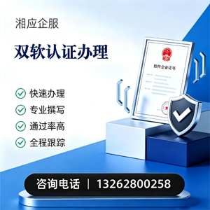 益阳双软认证申报服务