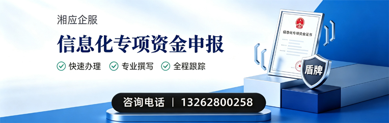 益阳信息化专项资金申报服务
