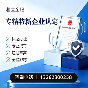 益阳专精特新企业申报服务