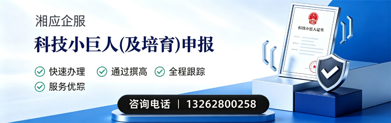 益阳科技小巨人及培育企业申报服务