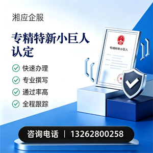 益阳专精特新小巨人申报服务