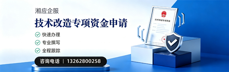 益阳技术改造专项资金申报服务