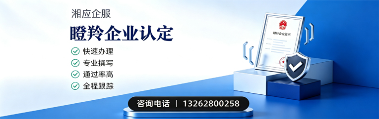 益阳瞪羚企业认定申报服务