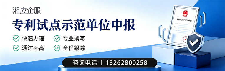 益阳专利试点示范单位申报服务