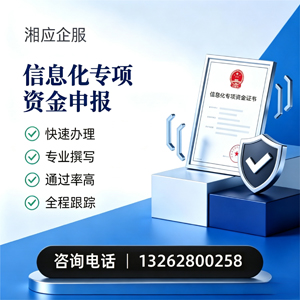 益阳信息化专项资金申报服务