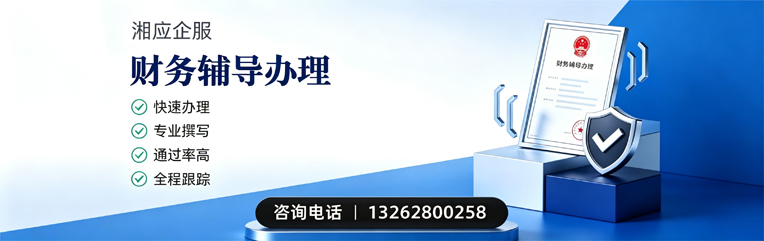 益阳财务辅导申请服务