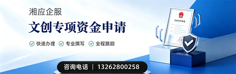 益阳文创专项资金申报服务