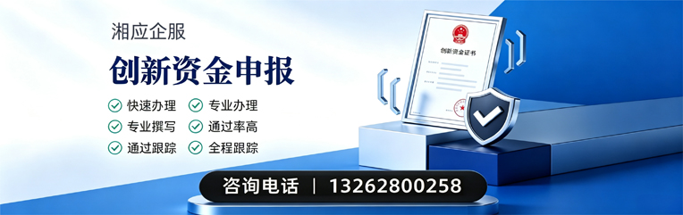 益阳创新资金申报服务
