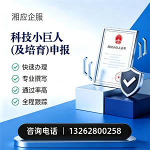 益阳科技小巨人及培育企业申报服务