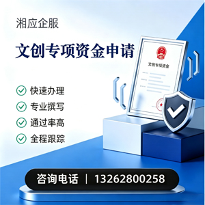 益阳文创专项资金申报服务