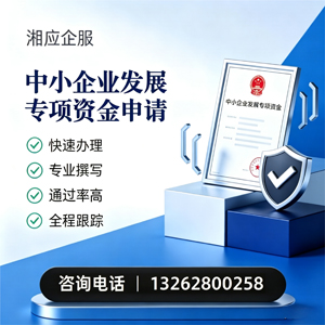 益阳中小企业发展专项资金申报服务