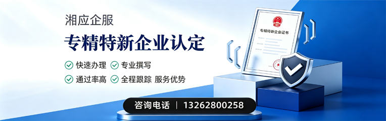 益阳专精特新企业申报服务