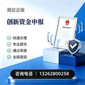 益阳创新资金申报服务