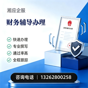 益阳财务辅导申请服务