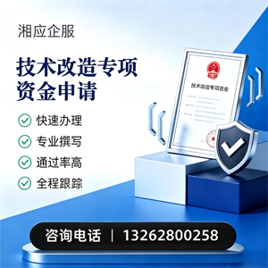 益阳技术改造专项资金申报服务