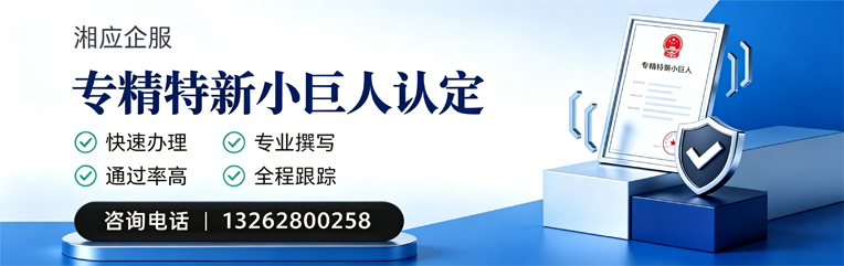 益阳专精特新小巨人申报服务